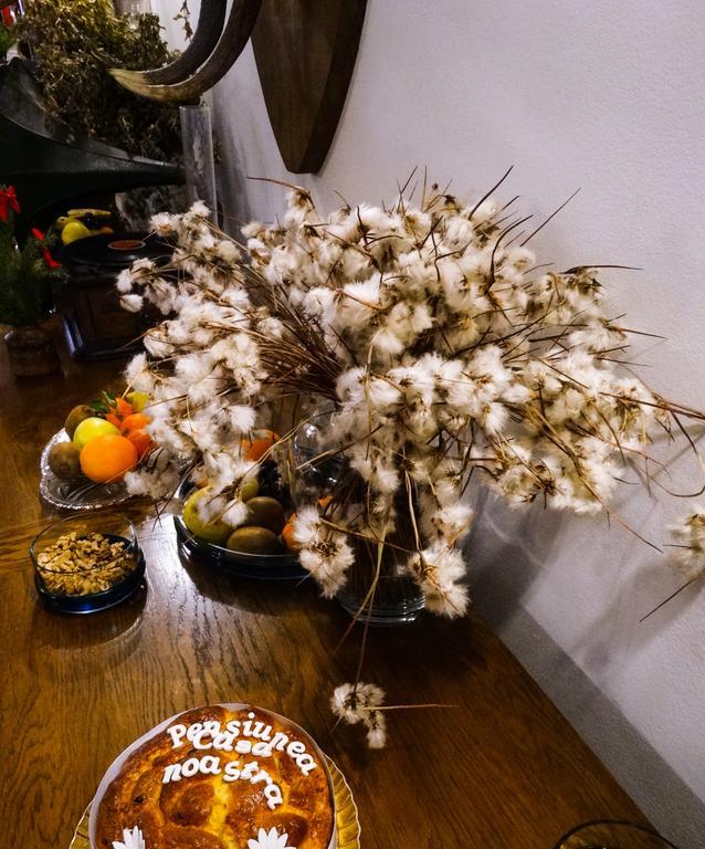 Pensiunea Casa Noastra Arieşeni 外观 照片